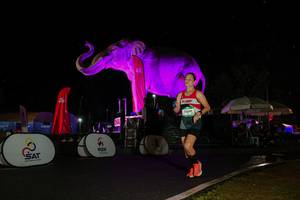 BIB: 
                            <button type="button" onclick="openModal(26543616)" class="btn btn-primary btn-sm float-right btn-popup" data-toggle="modal" data-target=".modal-high-quality">
                        <i class="fas fa-shopping-cart"></i> Add to Cart
                    </button>
                                            <button type="button" onclick="isThisMe(26543616, true)" class="btn btn-success btn-sm float-right btn-popup btn-isme hidden" data-toggle="tooltip" data-placement="bottom" title="นี่คือรูปของคุณใช่ไหม คลิกที่นี่เพื่อเอาเข้าอัลบั้ม">
                        <i class="fas fa-plus"></i> Add to album
                    </button>
                    <button type="button" onclick="isThisMe(26543616, false)" class="btn btn-warning btn-sm float-right btn-popup btn-isnotme hidden">
                        <i class="fas fa-ban"></i> Remove from album
                    </button>